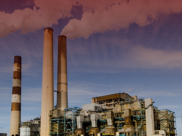 Board of Investment of Thailand (BOI)